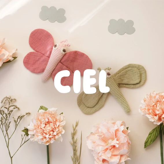 Ciel Image