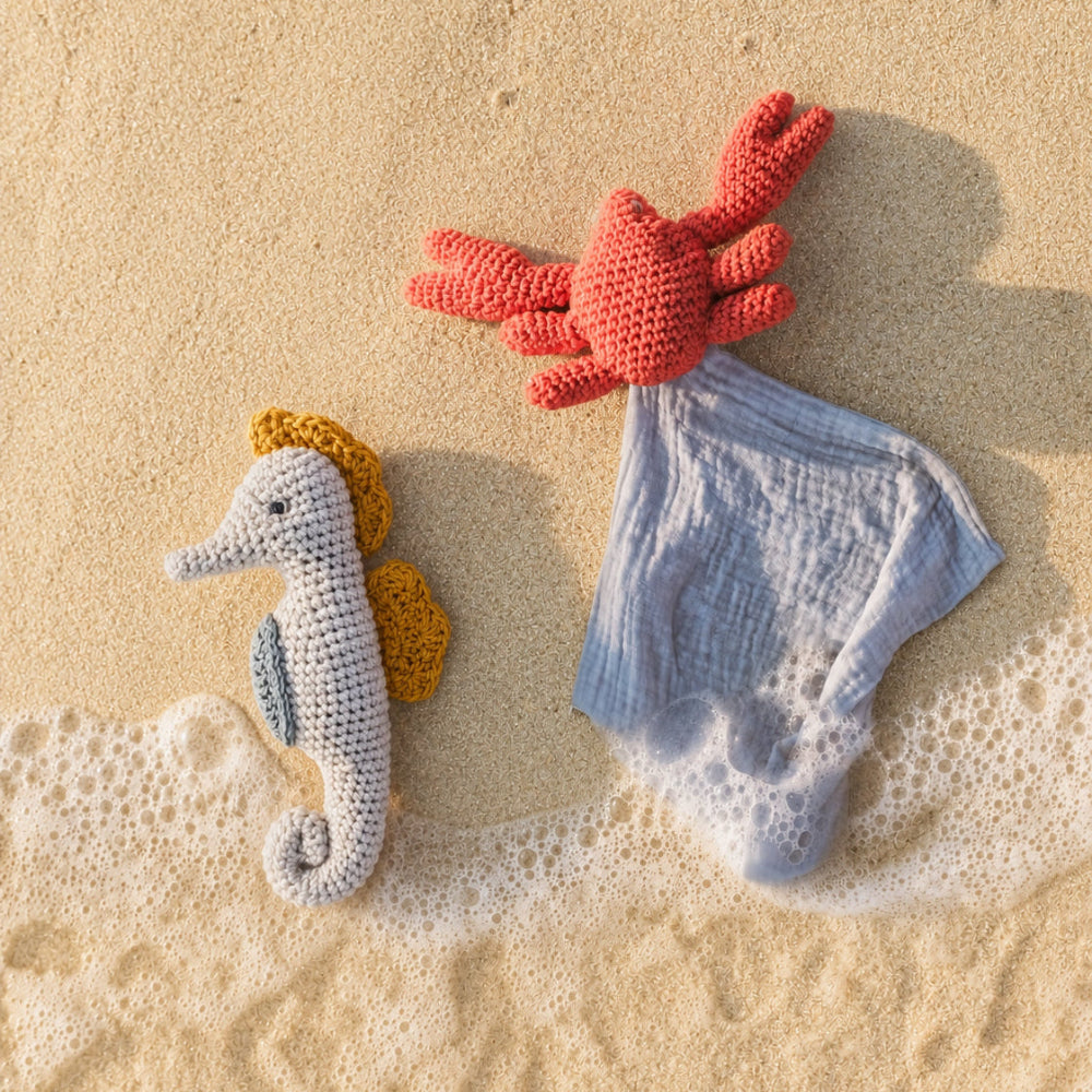  coffret cadeau bébé jouet hochet hippocampe et doudou crabe sur le sable à la mer