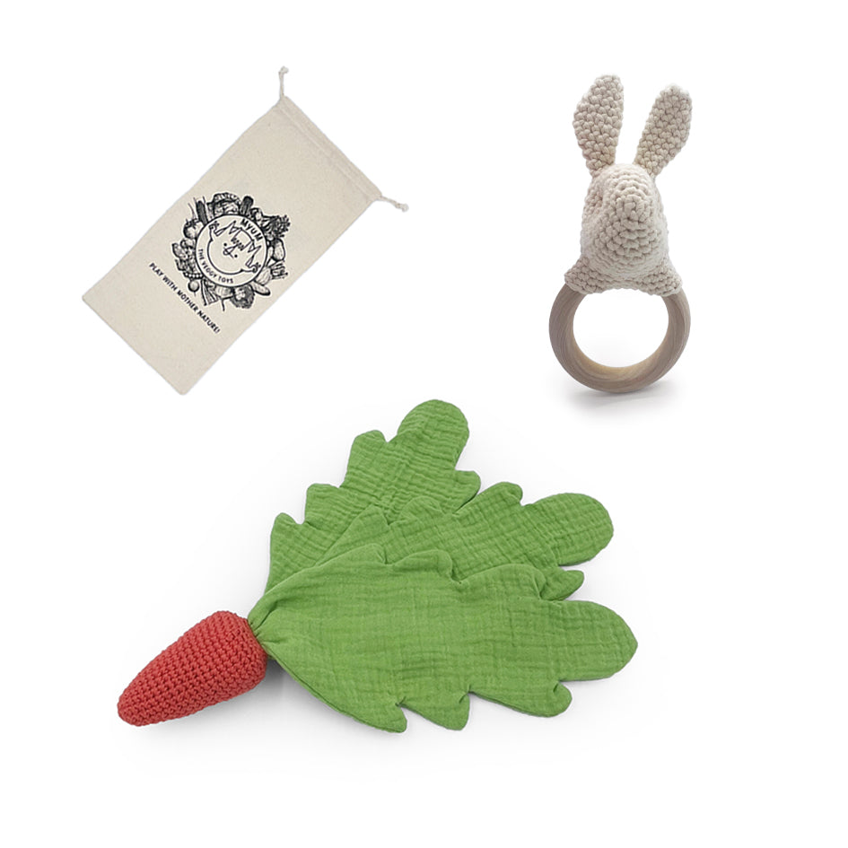 Gift Box Rabbit and Carrot Lovie 🥕🐰
