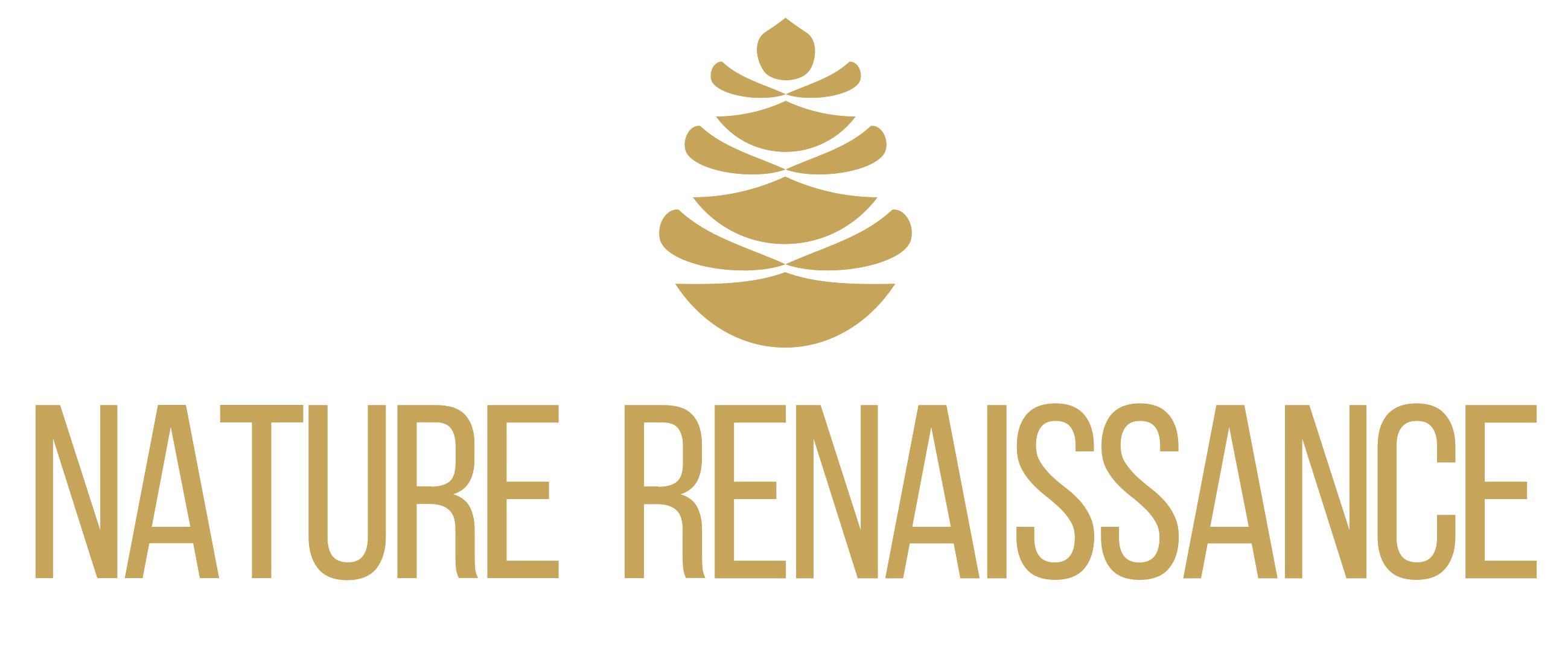 collaboration nature renaissance  logo Image