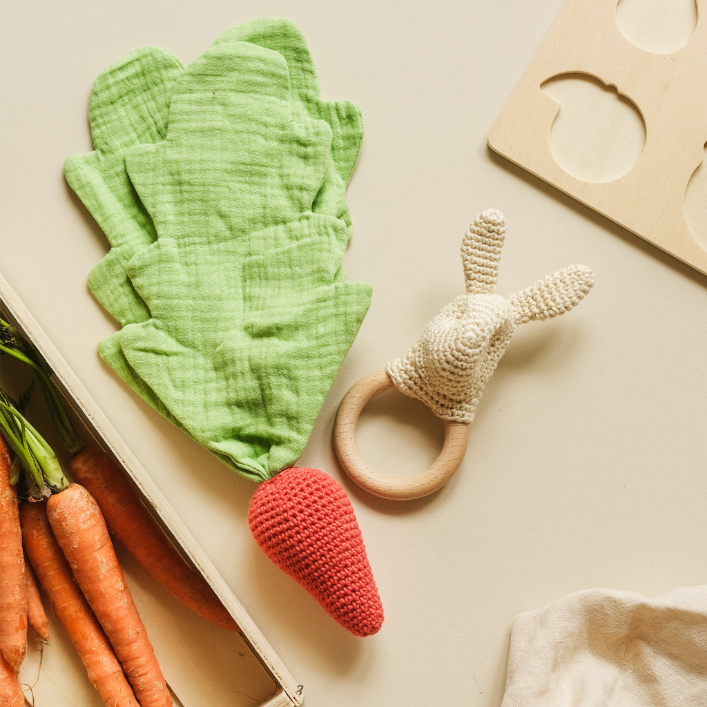 Gift Box Rabbit and Carrot Lovie 🥕🐰
